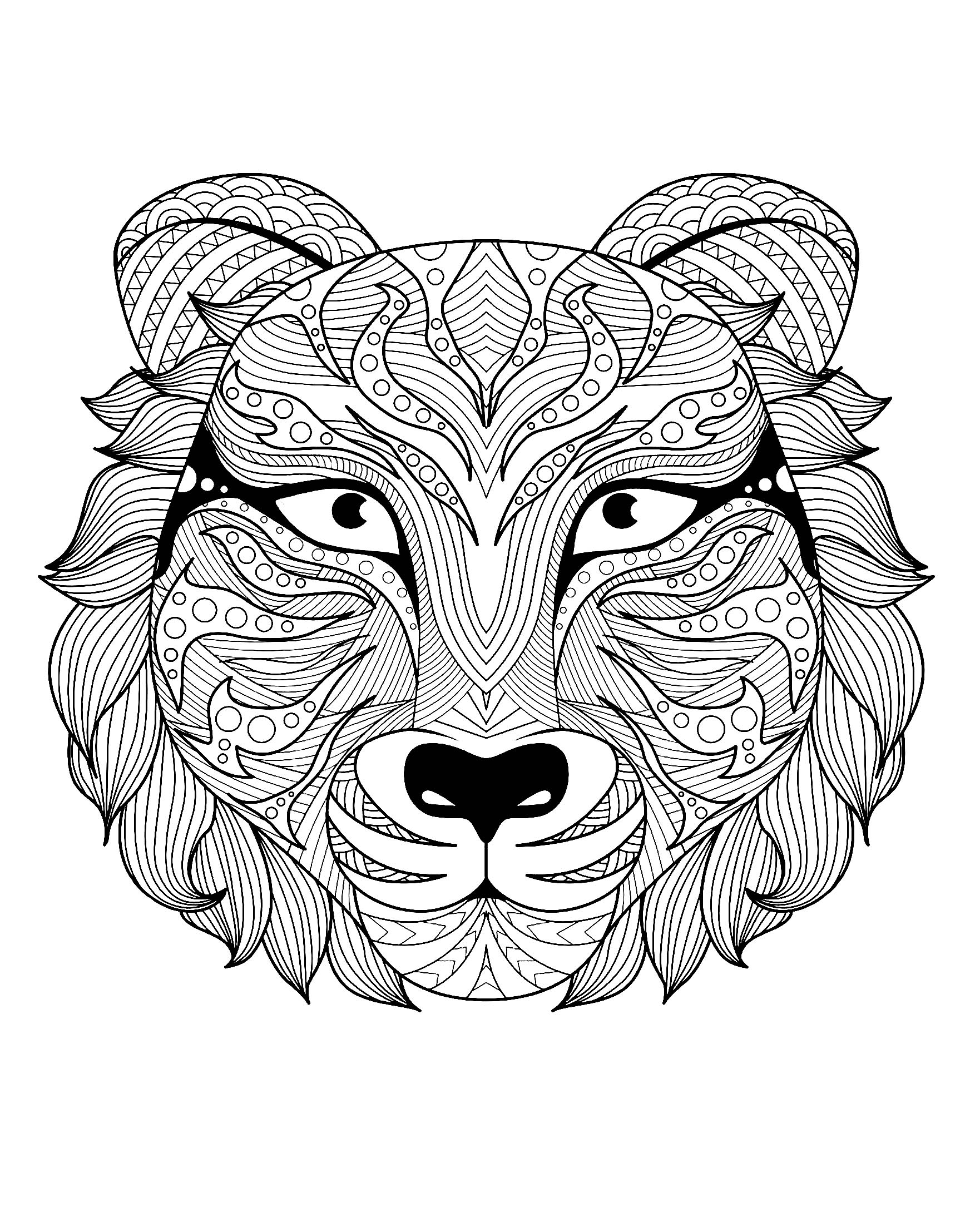 Magnifique tete de tigre  Tigres  Coloriages difficiles pour adultes