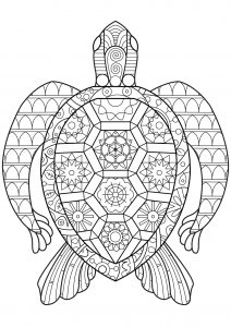 Tortue Zen