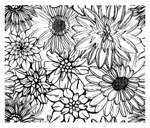 Coloriage vintage fleurs diverses