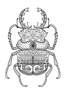 Coloriage adulte zentangle scarabee par bimdeedee