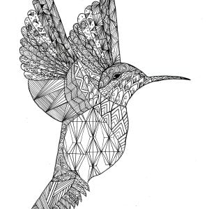 Coloriage d'un colibri en avec motifs Zentangle (Coloriage de Chloé)