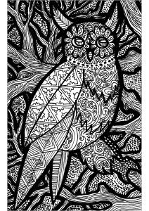 Coloriage de Zentangle à imprimer pour adultes : Lignes de la chouette