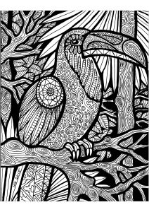 Coloriage de Zentangle à imprimer pour adultes : Les lignes du toucan