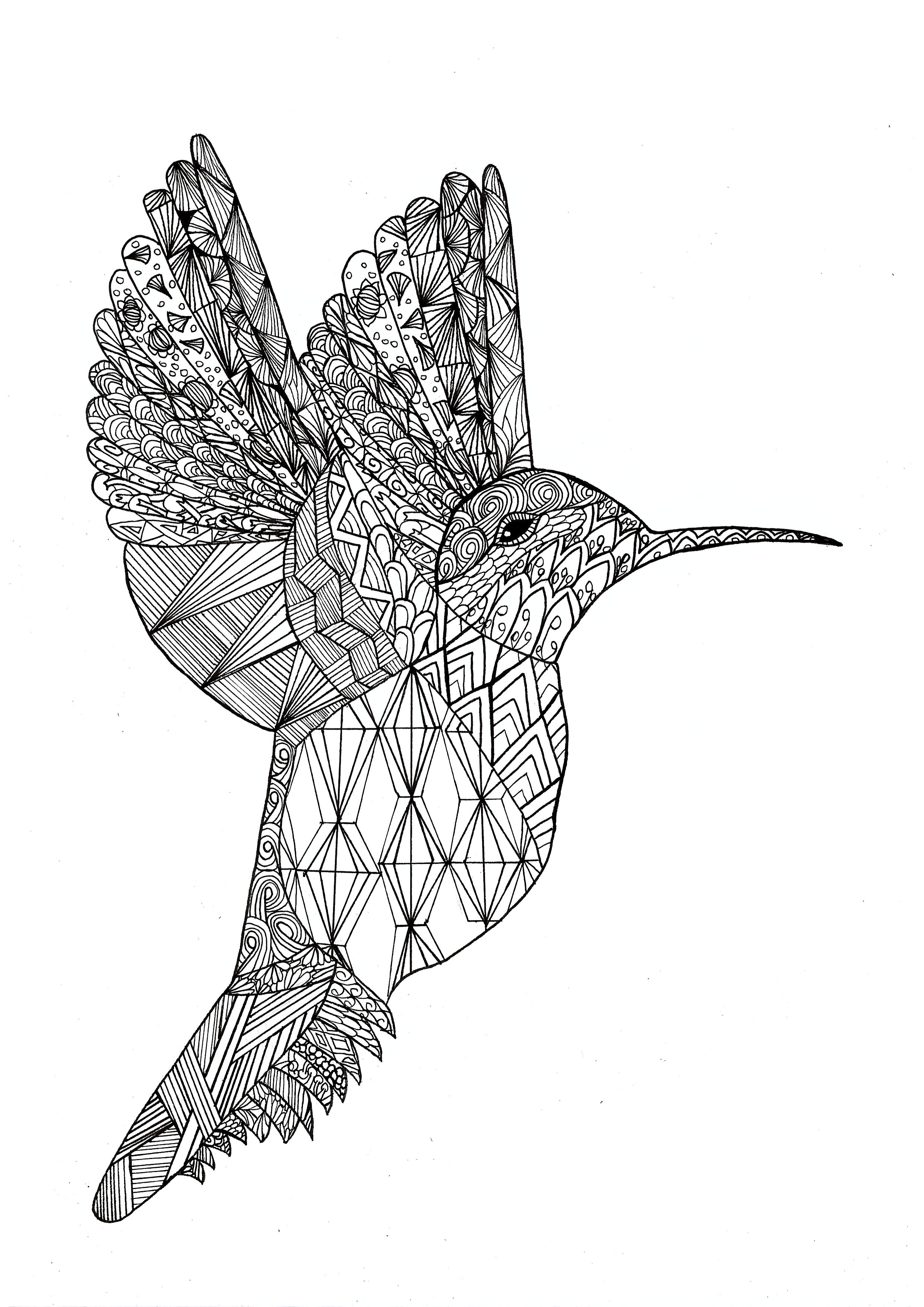 Coloriage d'un colibri en avec motifs Zentangle