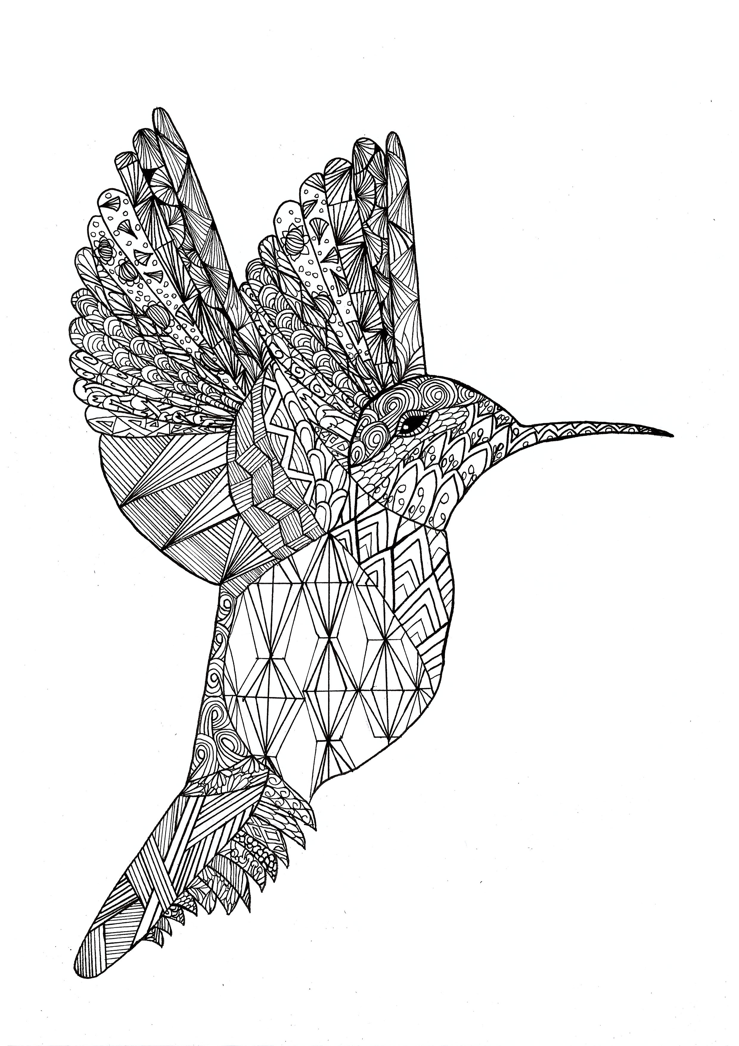 Coloriage d'un colibri en avec motifs Zentangle, Artiste : Chloe