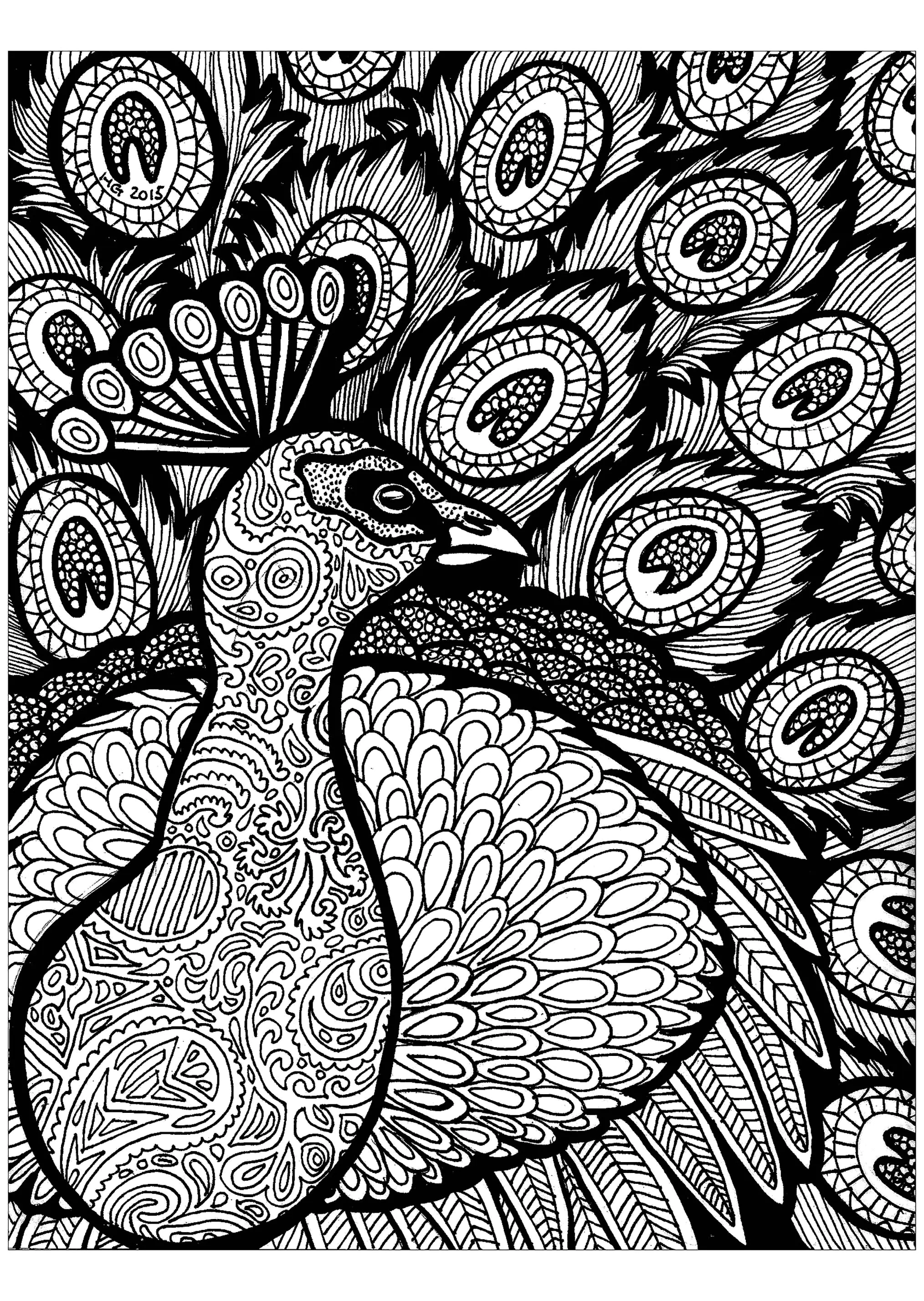 Lignes du paon (Coloriage de Zentangle à imprimer pour adultes)