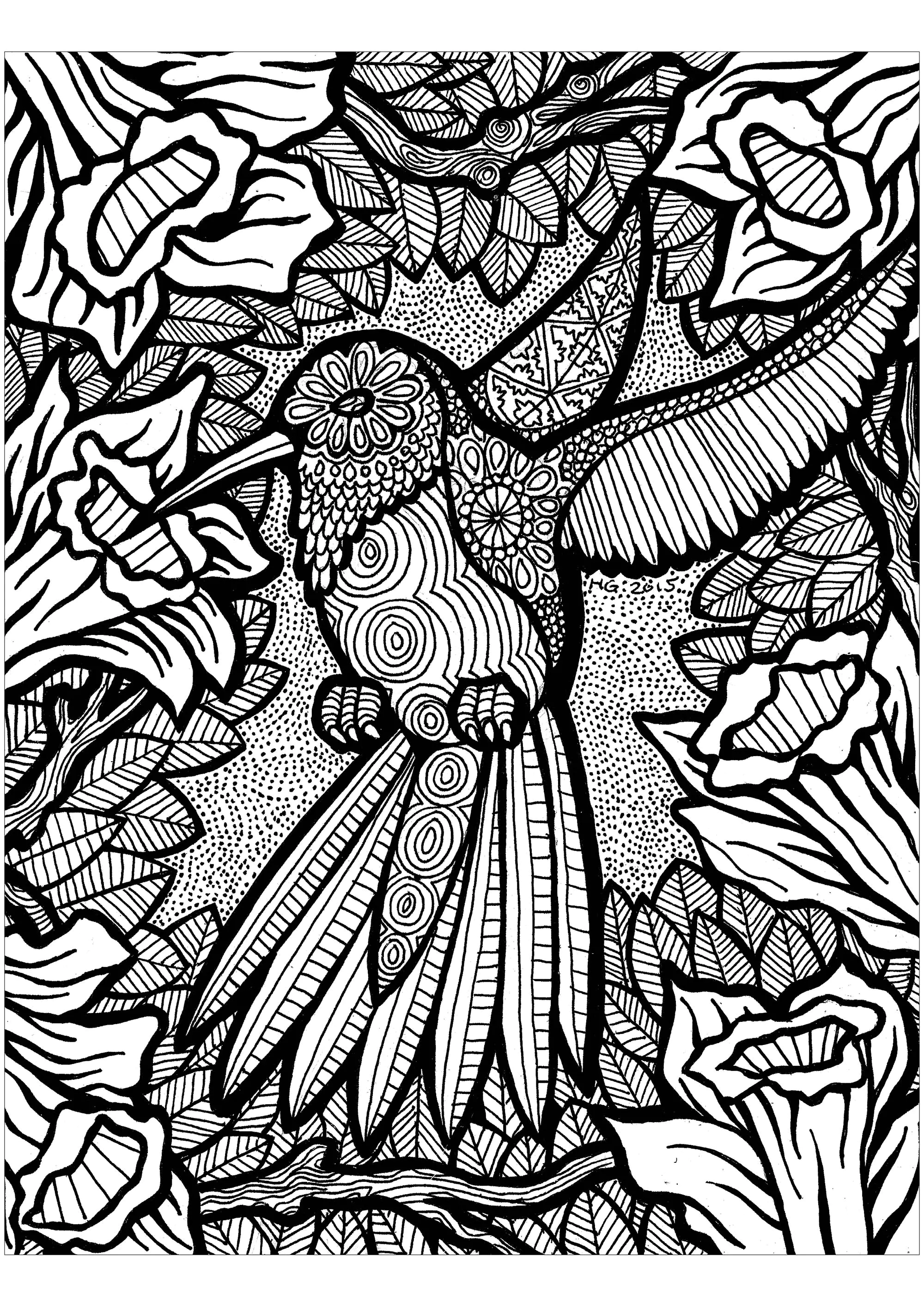 Joli colibri entouré de fleurs (Coloriage de Zentangle à imprimer pour adultes)