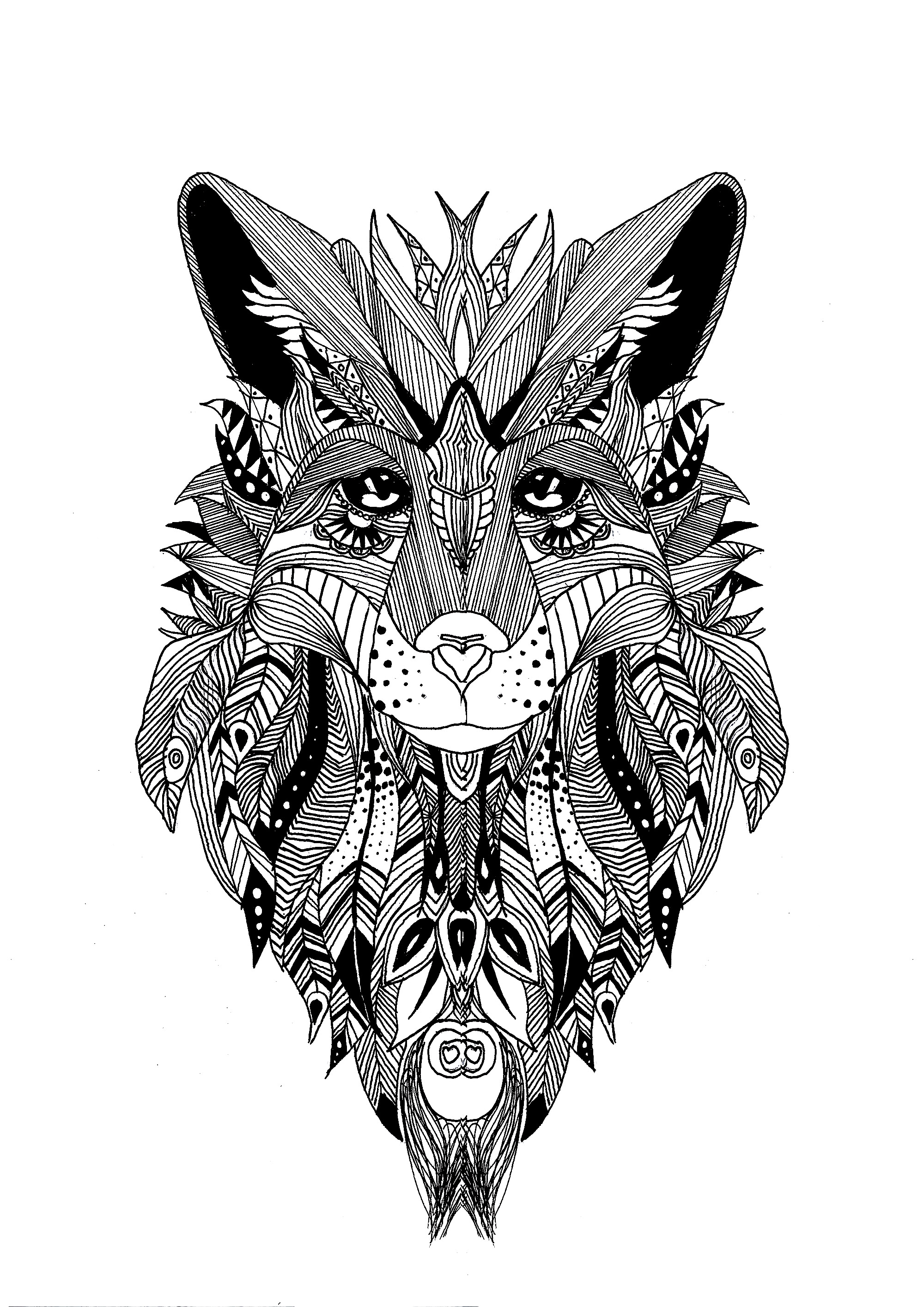 Coloriage d'un loup dessinées avec le style de zentangle et quelque plumes dans sa fourrure.