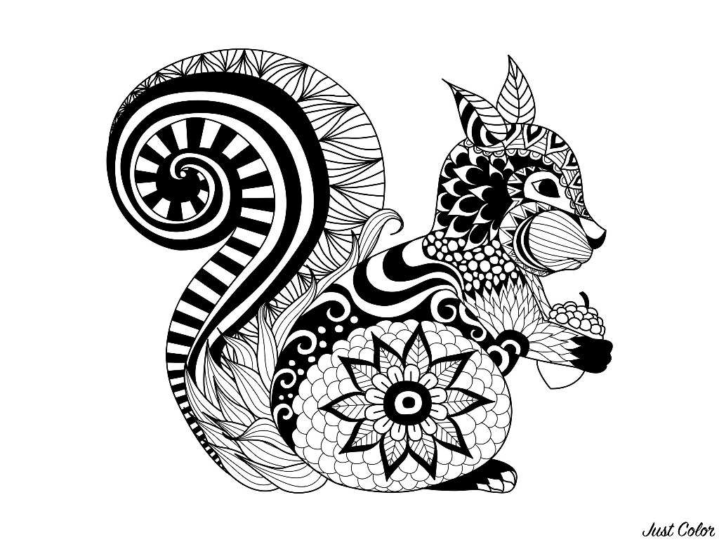 Un joli écureuil dessiné avec le style Zentangle