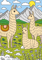 Werk von Anonym nach Lamas et Alpagas des Andes