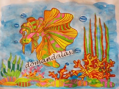 Creation By : domandalas3bis