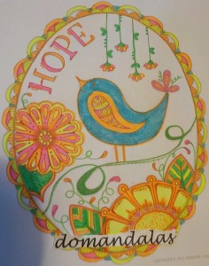 Creation By : domandalas4