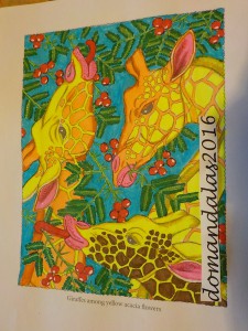 Creation Par : domandalas