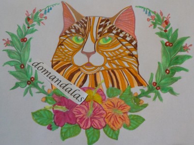 Creation By : domandalas4