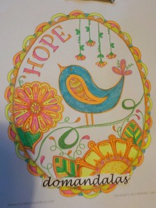 Creation By : domandalas3bis