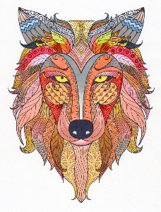 Creation Durch : Marcel