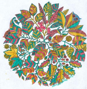 Creation Durch : domandalas