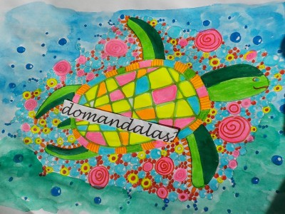 Creation By : domandalas3bis