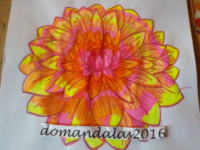 Creation By : domandalas