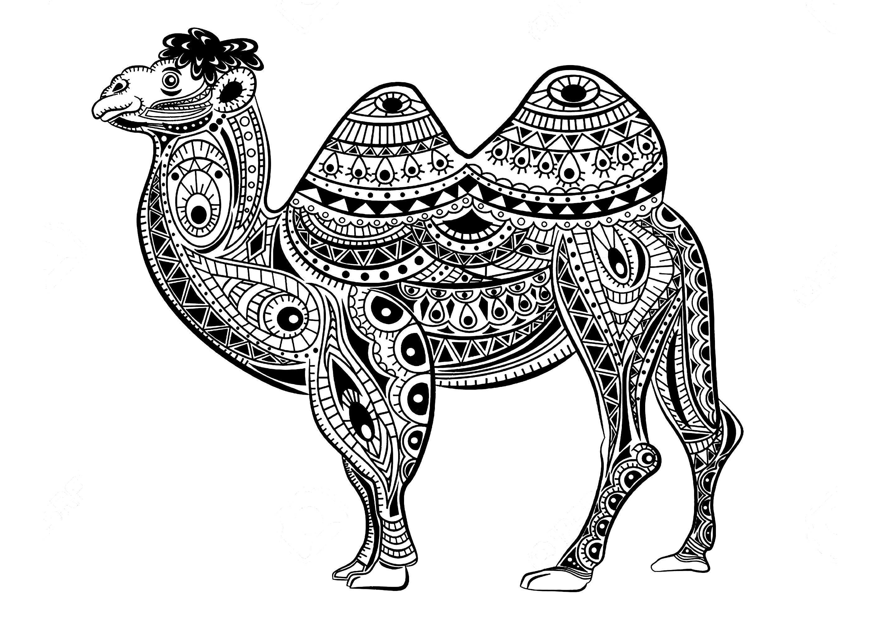 Simpatico cammello il cui corpo è fatto di motivi Zentangle, Artista : Vita Kosova   Fonte : 123rf