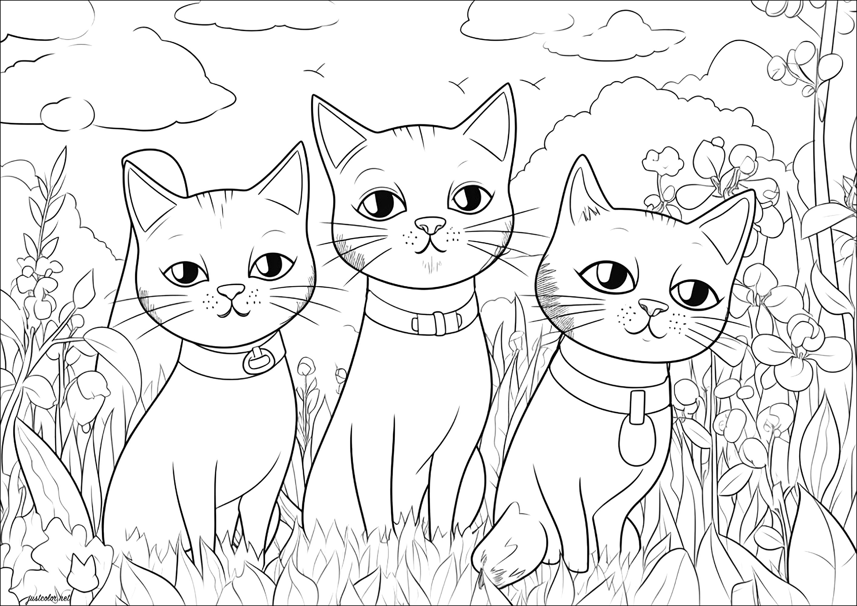 Tre gatti che ti fissano. Tre bei gatti dallo sguardo sdegnoso e tante piante da colorare sullo sfondo.