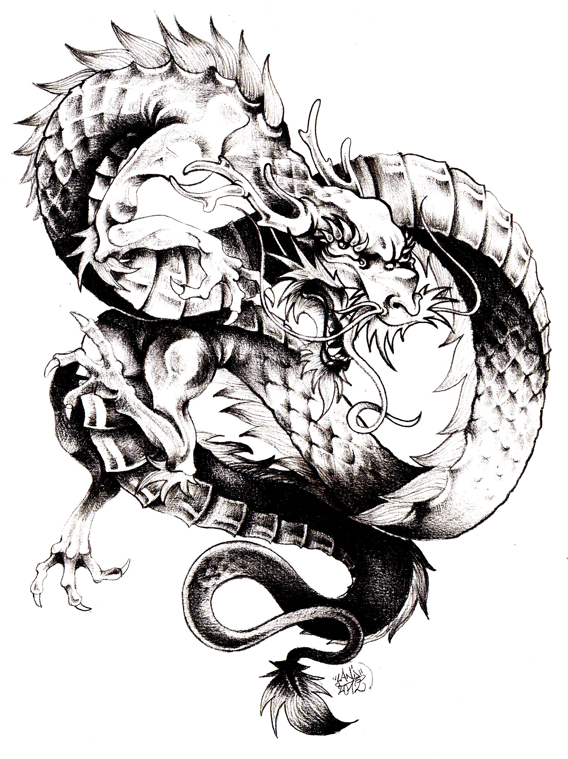 Il drago, uno dei principali simboli della Cina