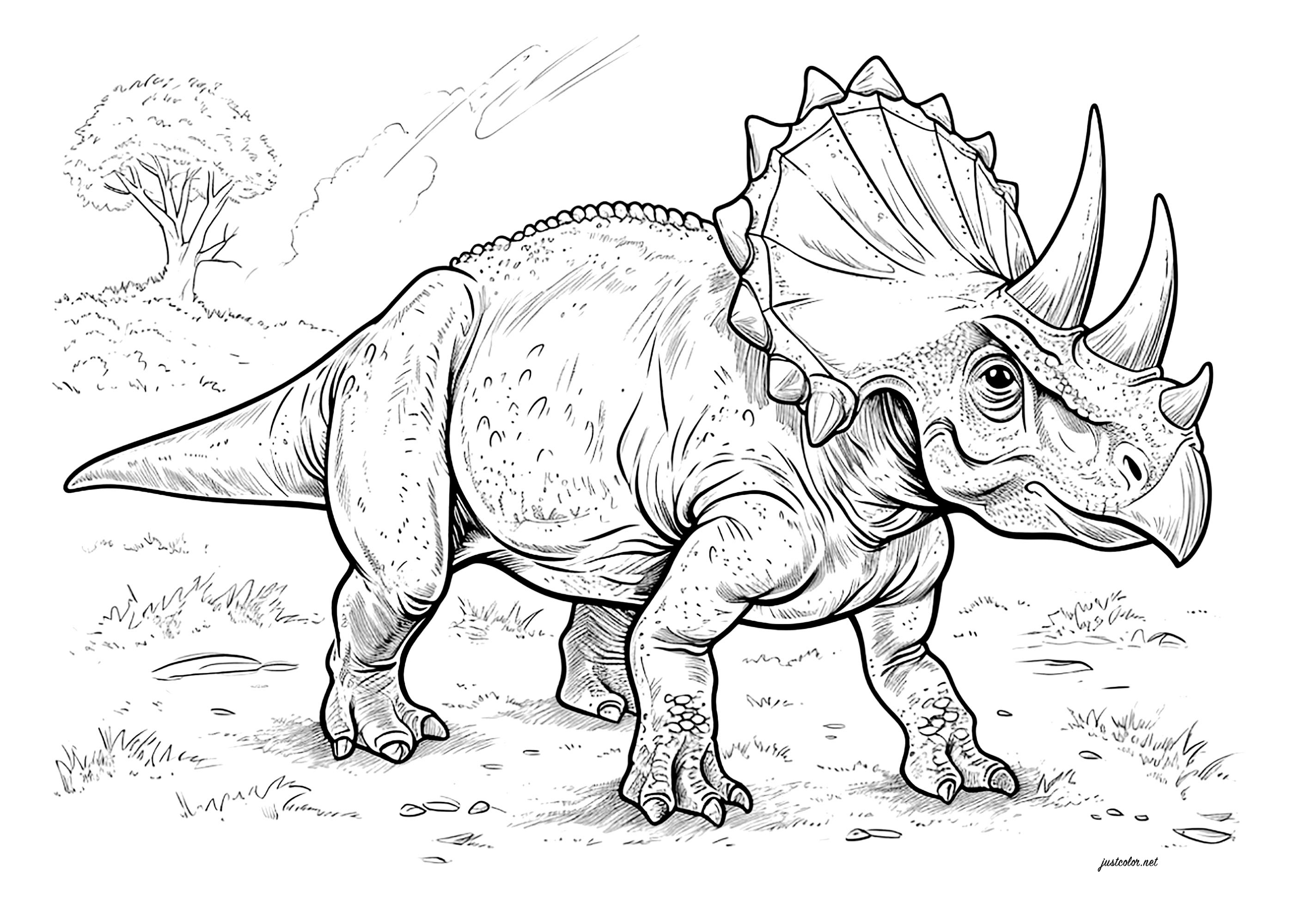 Pagina Dinosauri da Colorare : Triceratopo in una foresta Pagina Dinosauri da Colorare per adultos : Triceratopo in una foresta