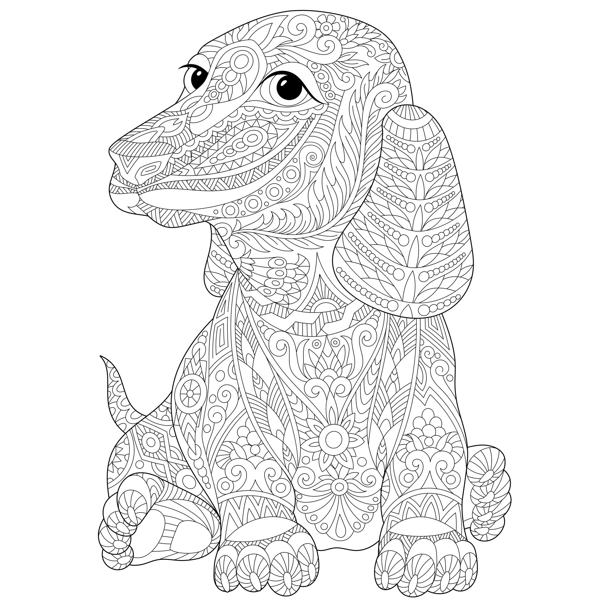 Disegni da colorare per adulti : Cani - 1, Artista : Sybirko   Fonte : 123rf