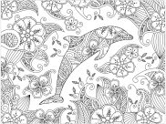 Pagine Delfini da Colorare per adultos