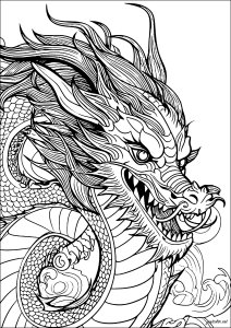 Maestoso drago con dettagli raffinati (Pagina Draghi da Colorare)