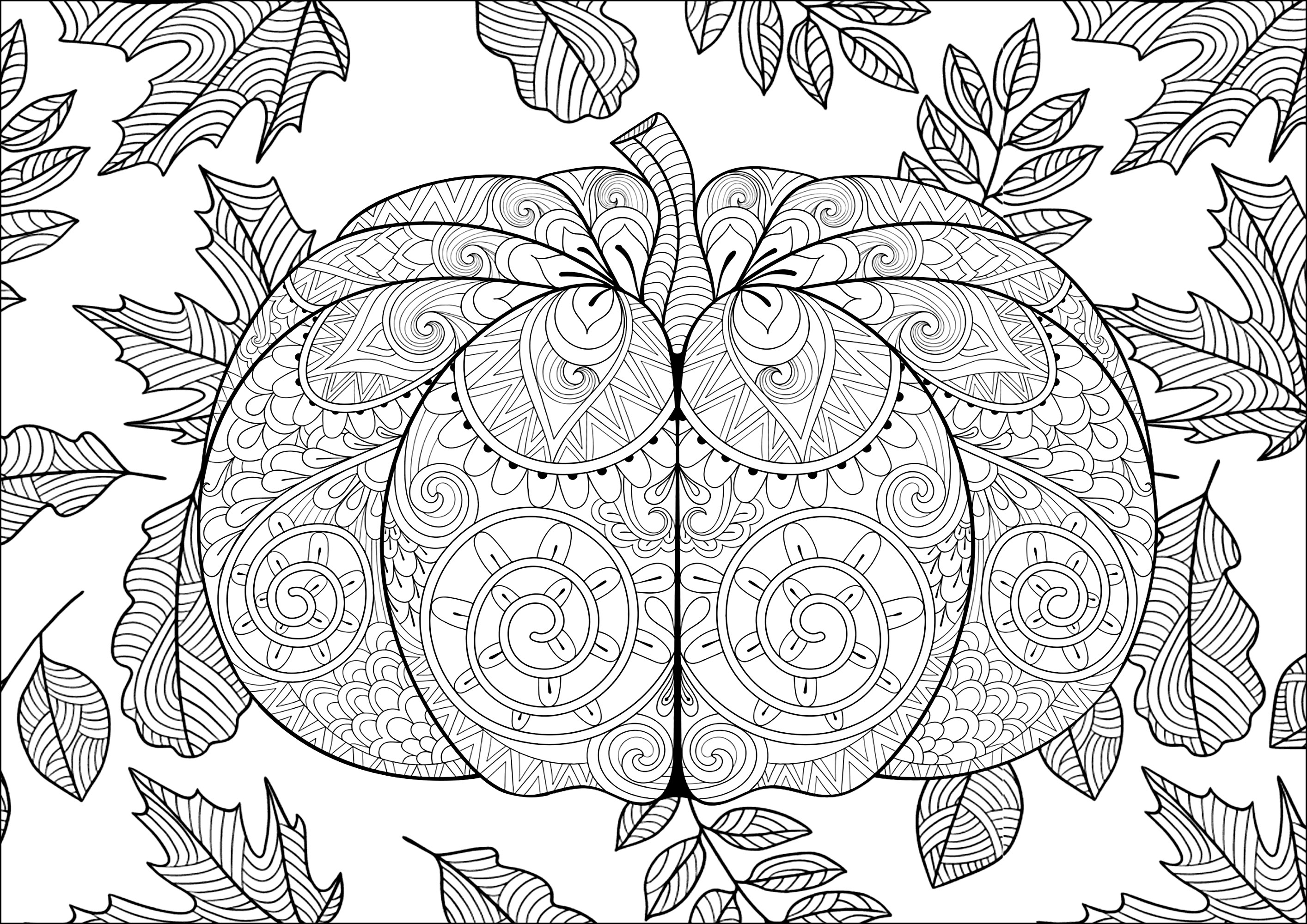 Zucca grande di Halloween. Colorare tutti i motivi delle zucche e le foglie sullo sfondo, Fonte : 123rf   Artista : Ipanki