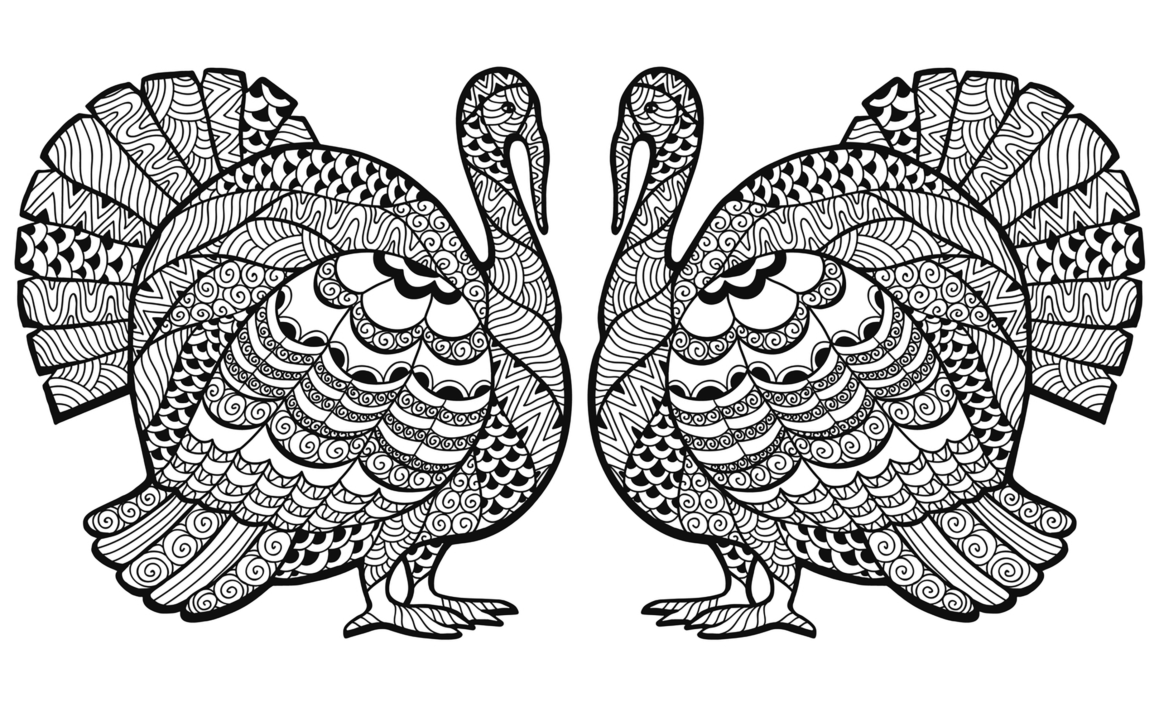 Tacchino doppio Zentangle Foglio da colorare (Ringraziamento (Thanksgiving)) Tacchino doppio Zentangle Foglio da colorare (Ringraziamento (Thanksgiving))