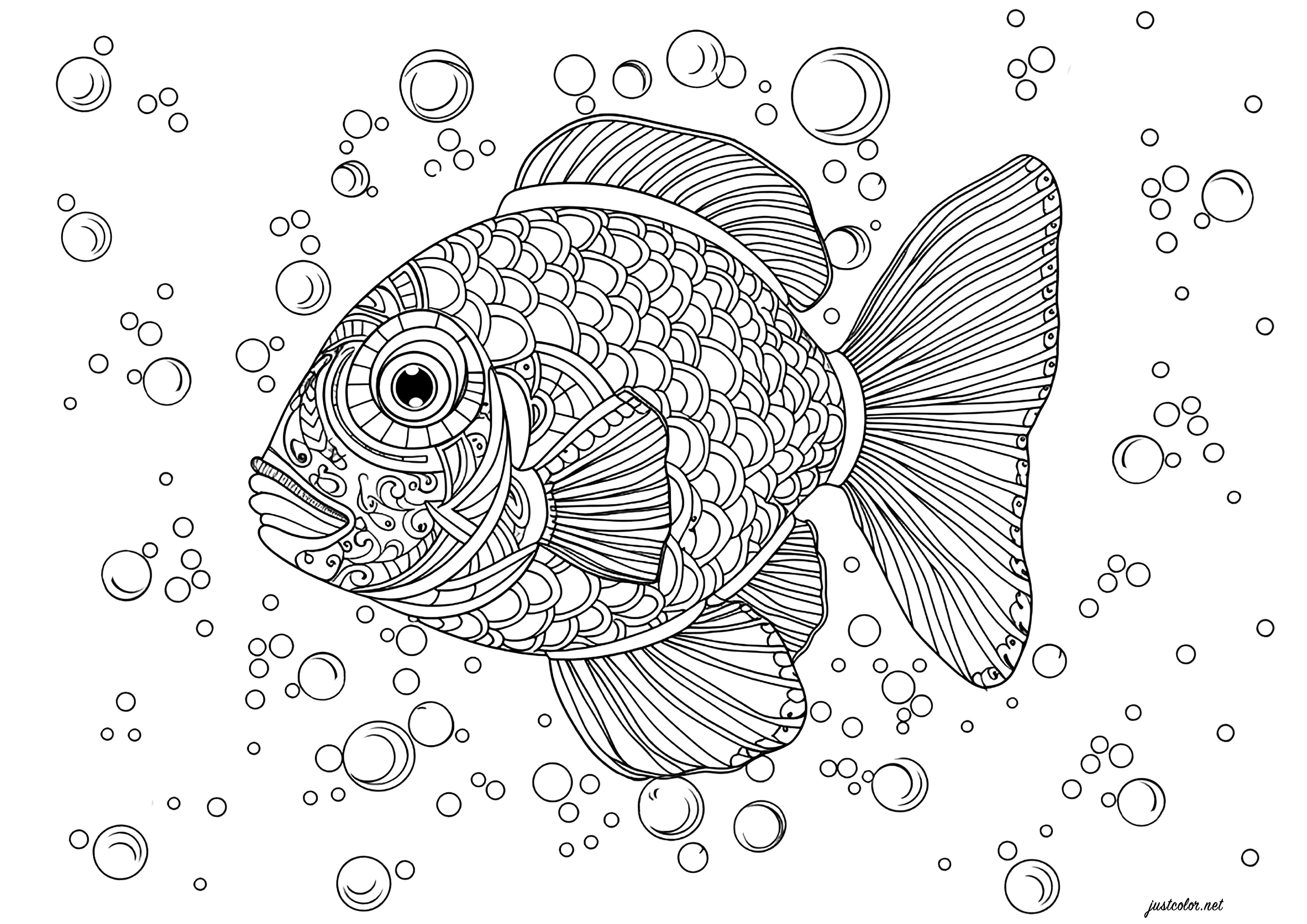 Un bellissimo pesce pieno di squame da colorare. Questo pesce dettagliato è circondato da bolle di diverse dimensioni
