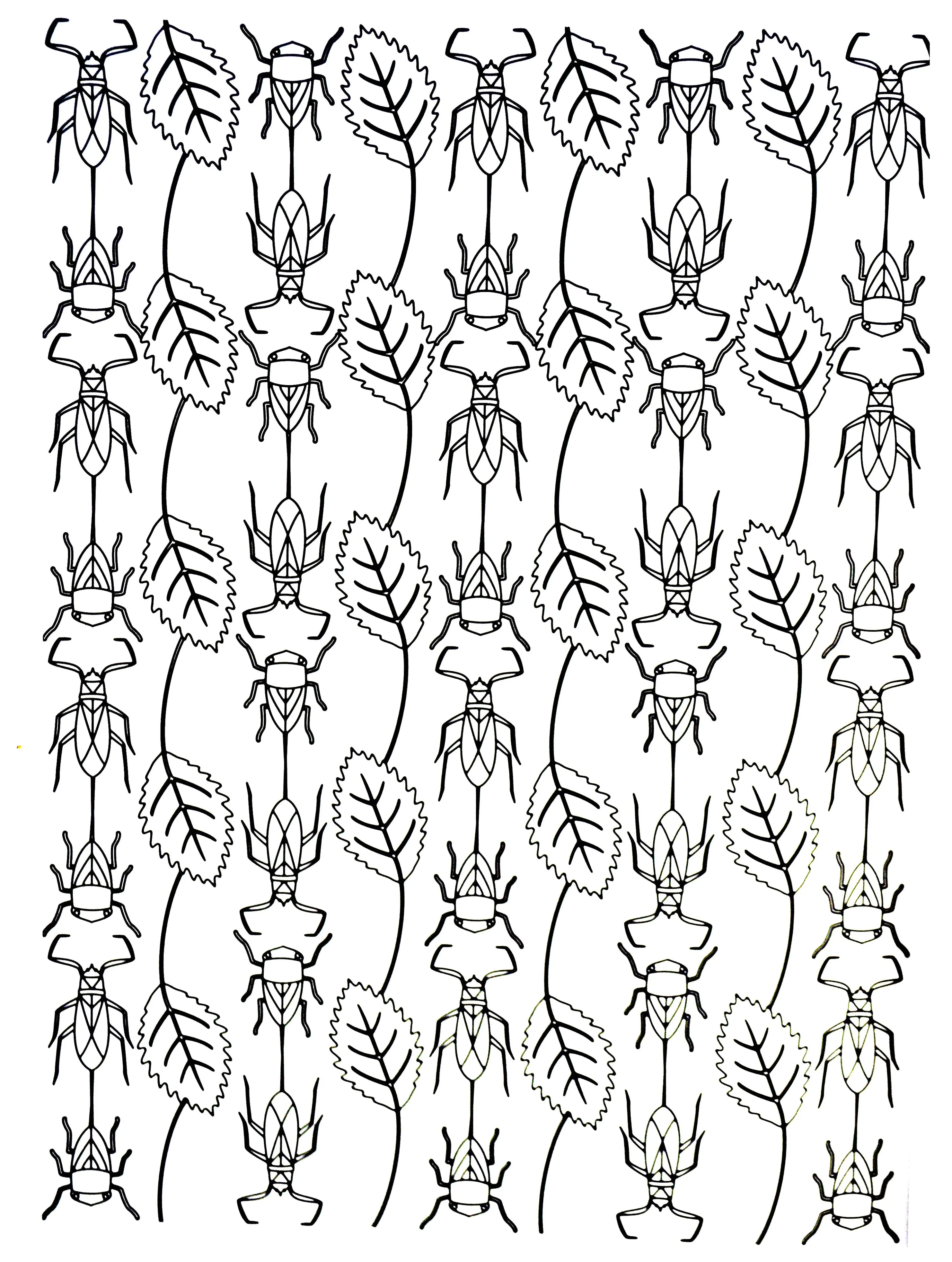 Fiori-e-vegetazione-29877 (Pagina Fiori e vegetazione da Colorare per adultos)