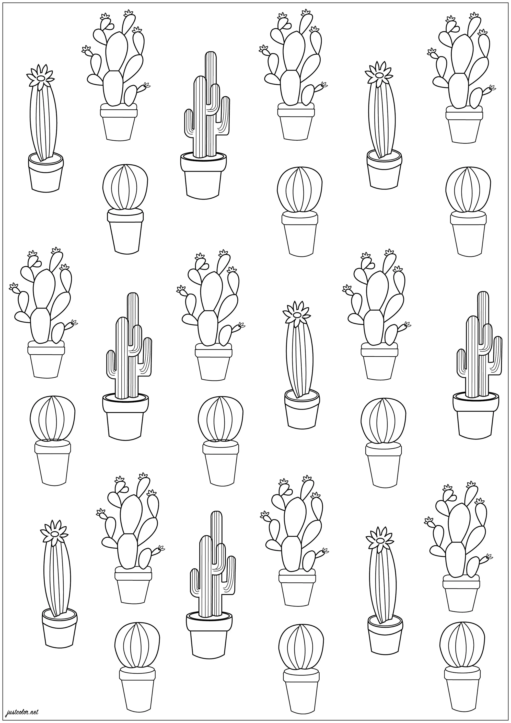 27 Cactus (Pagina Fiori e vegetazione da Colorare per adultos)