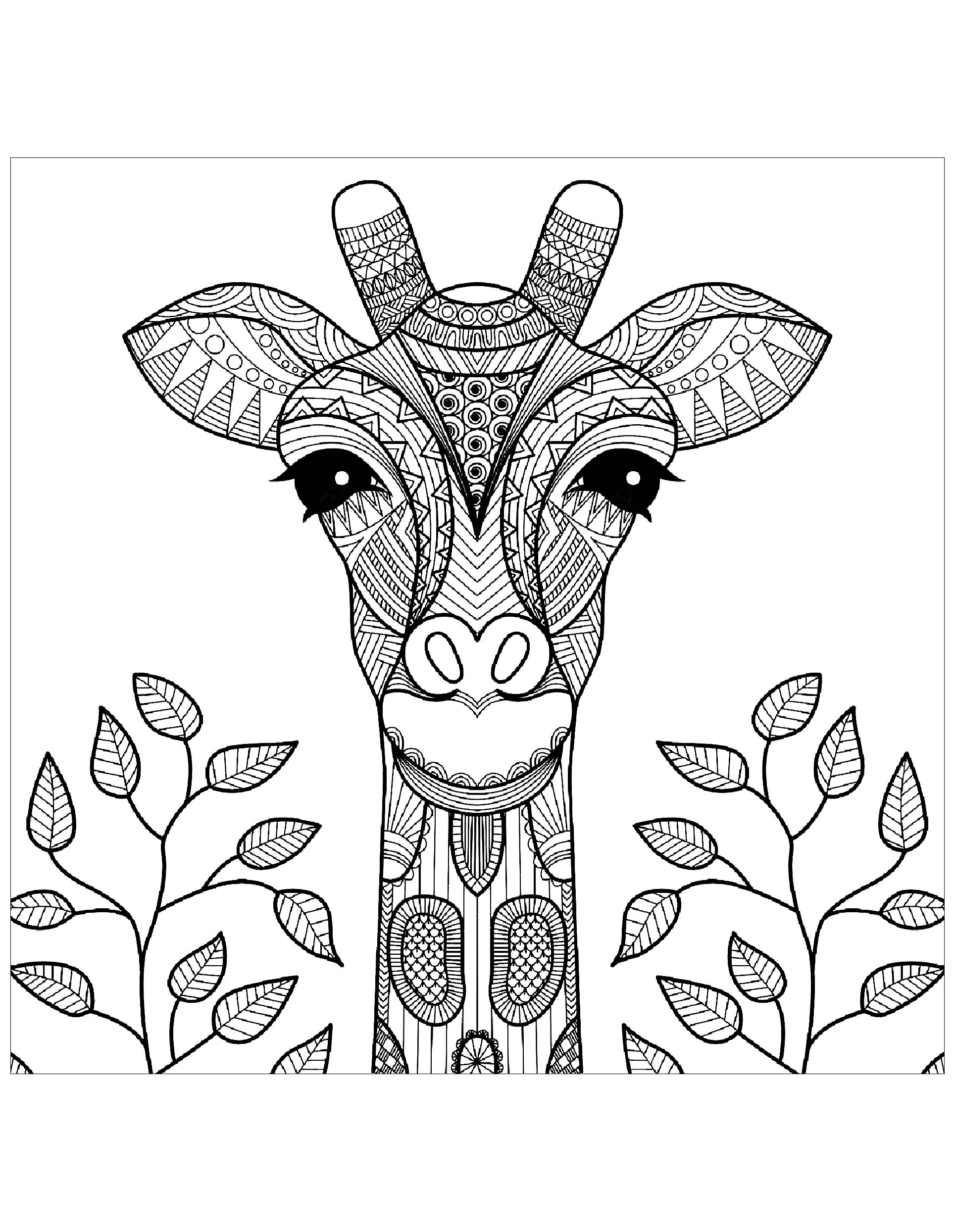 Disegni da colorare per adulti : Giraffe - 1, Artista : Bimdeedee   Fonte : 123rf