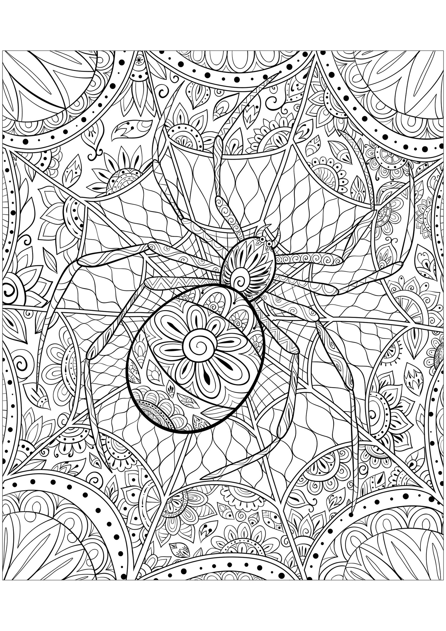 Colorazione complessa che rappresenta un ragno. Motivi variegati e complessi compongono il suo corpo ma anche la sua tela!, Fonte : 123rf   Artista : Nonuzza