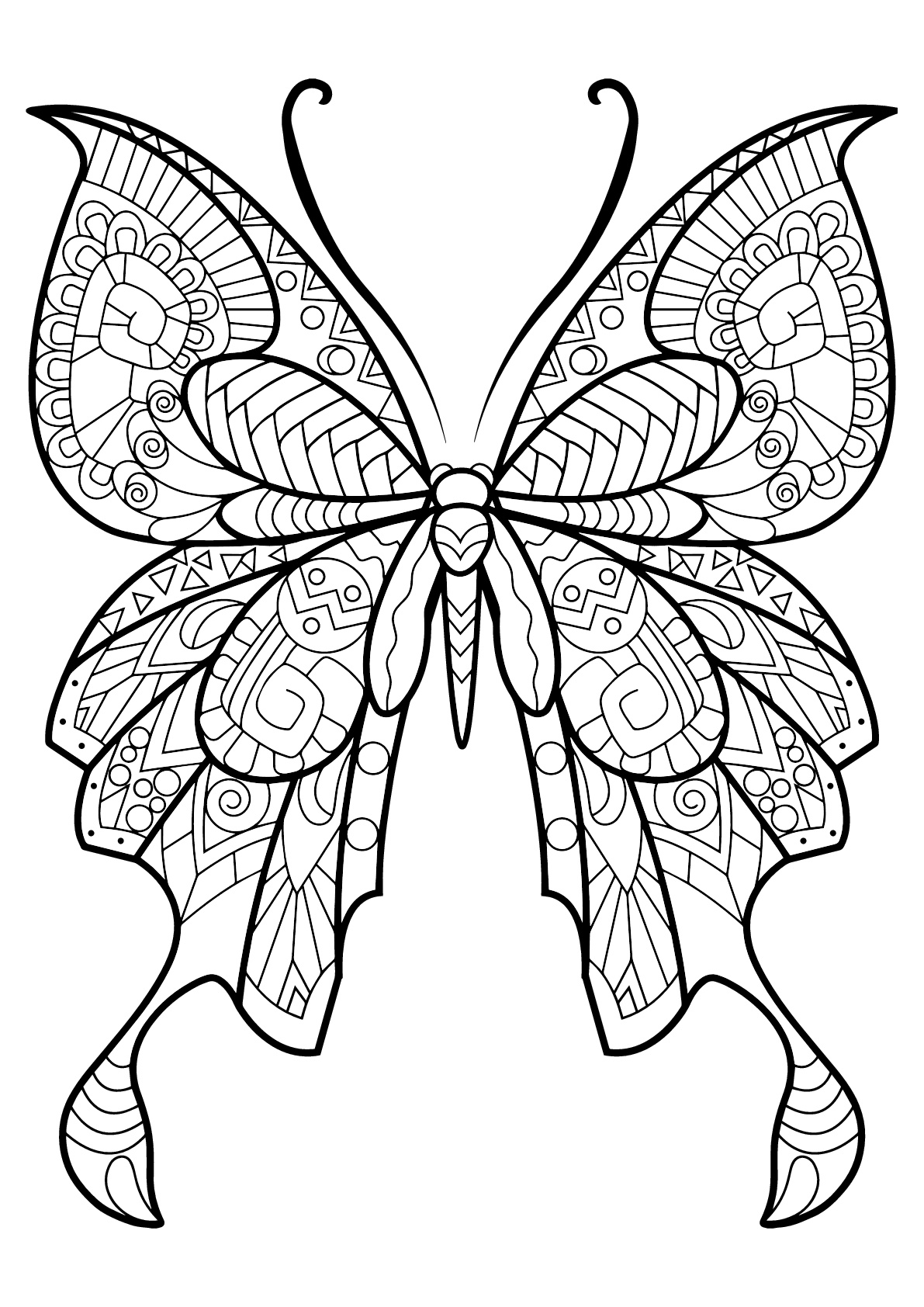 Disegni da colorare per adulti Insetti 9 Fonte Printable Coloring Pages for Stampa