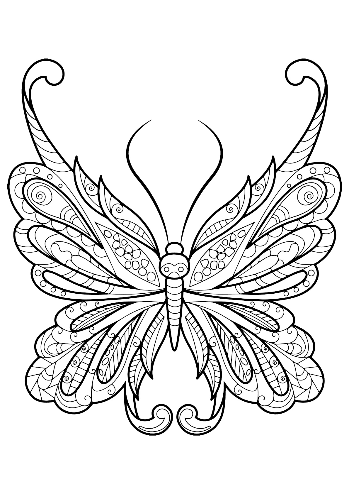 Disegni da colorare per adulti Insetti 6 Fonte Printable Coloring Pages for Stampa