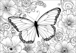 Bella farfalla e fiori