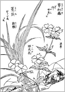 Piante raffigurate in una stampa giapponese (Pagina Giappone da Colorare)