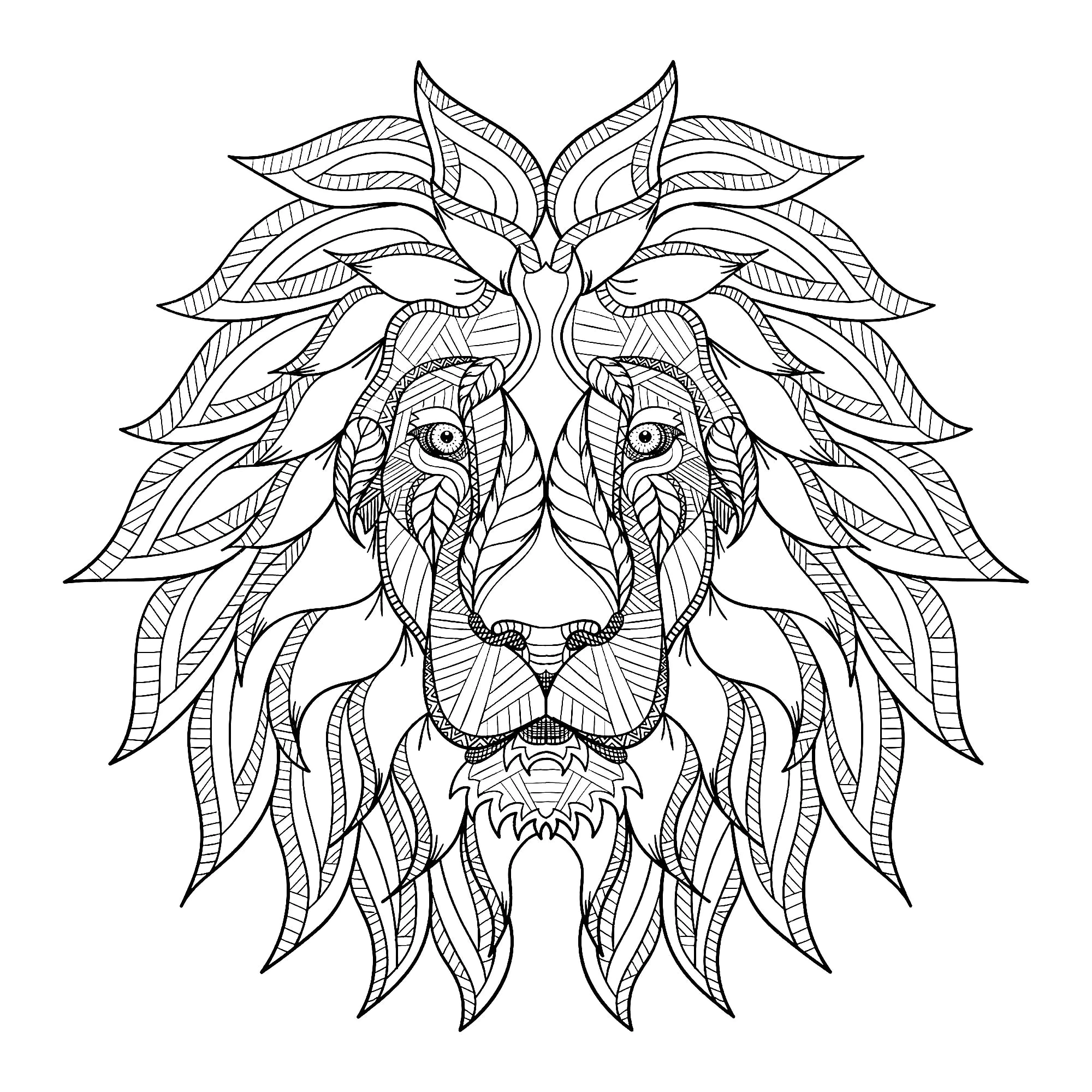 Testa di leone e bella criniera (Pagina Lions da Colorare per adultos)