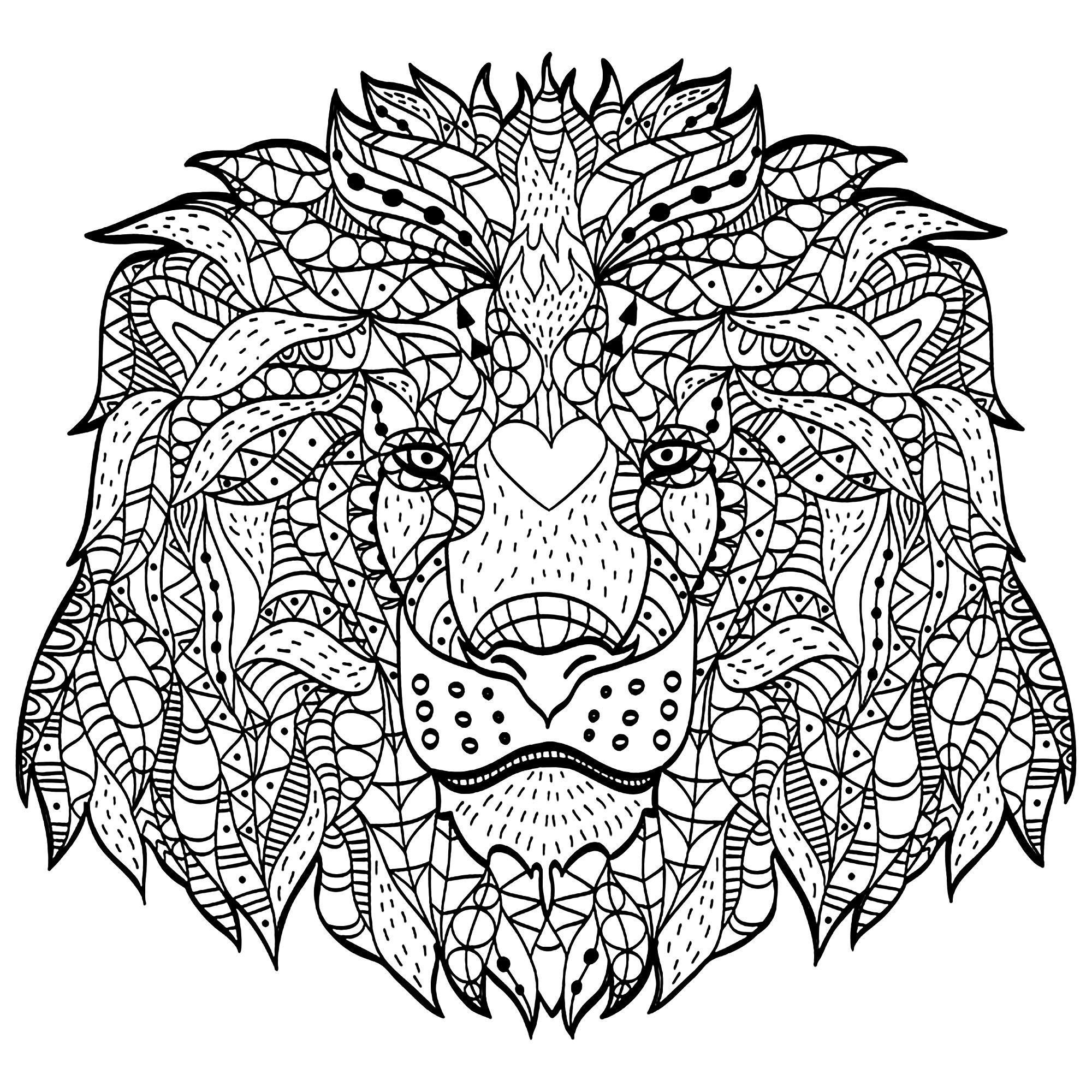 Questa testa di leone creata con motivi Zentangle vi chiederà molta concentrazione! Buon divertimento!, Artista : Viktoriia Panchenko   Fonte : 123rf