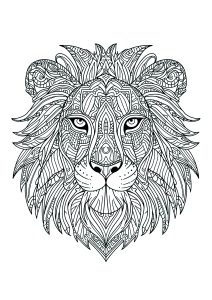 Testa di leone con molti motivi intricati