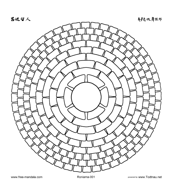 Uno strano Mandala con cerchi concentrici e scaglie