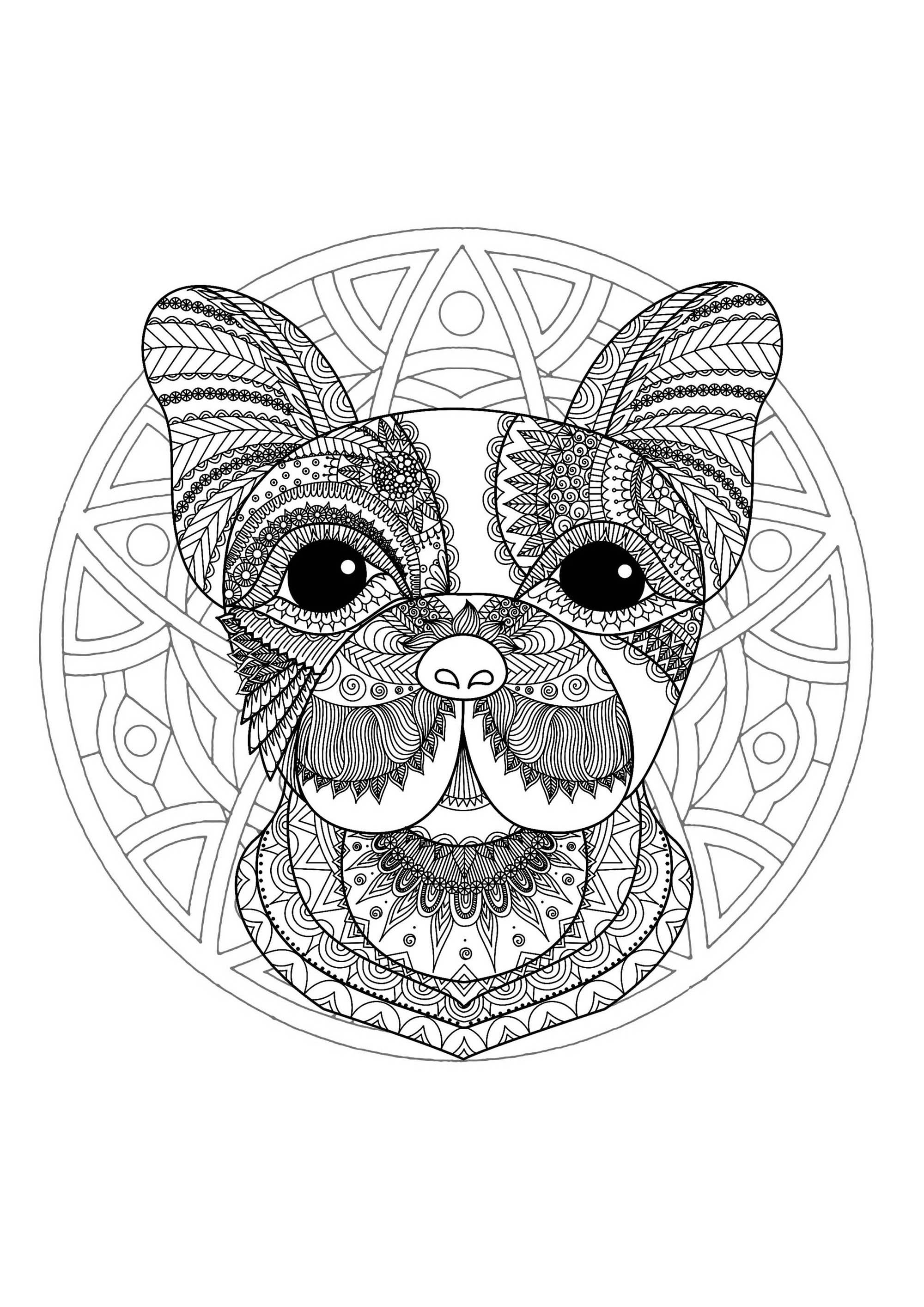 Pagina da colorare con testa di cane e semplice Mandala sullo sfondo