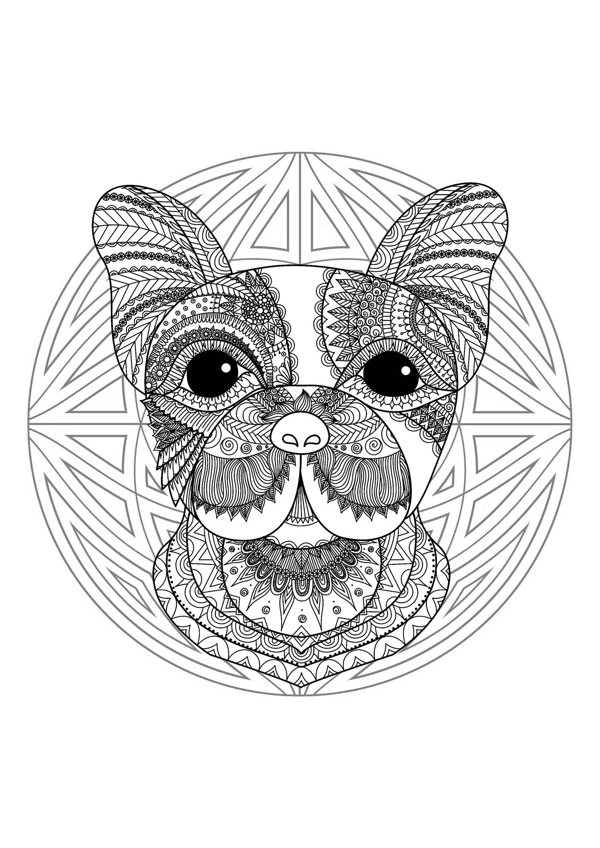 Pagina da colorare con una divertente testa di cane e un bellissimo Mandala sullo sfondo