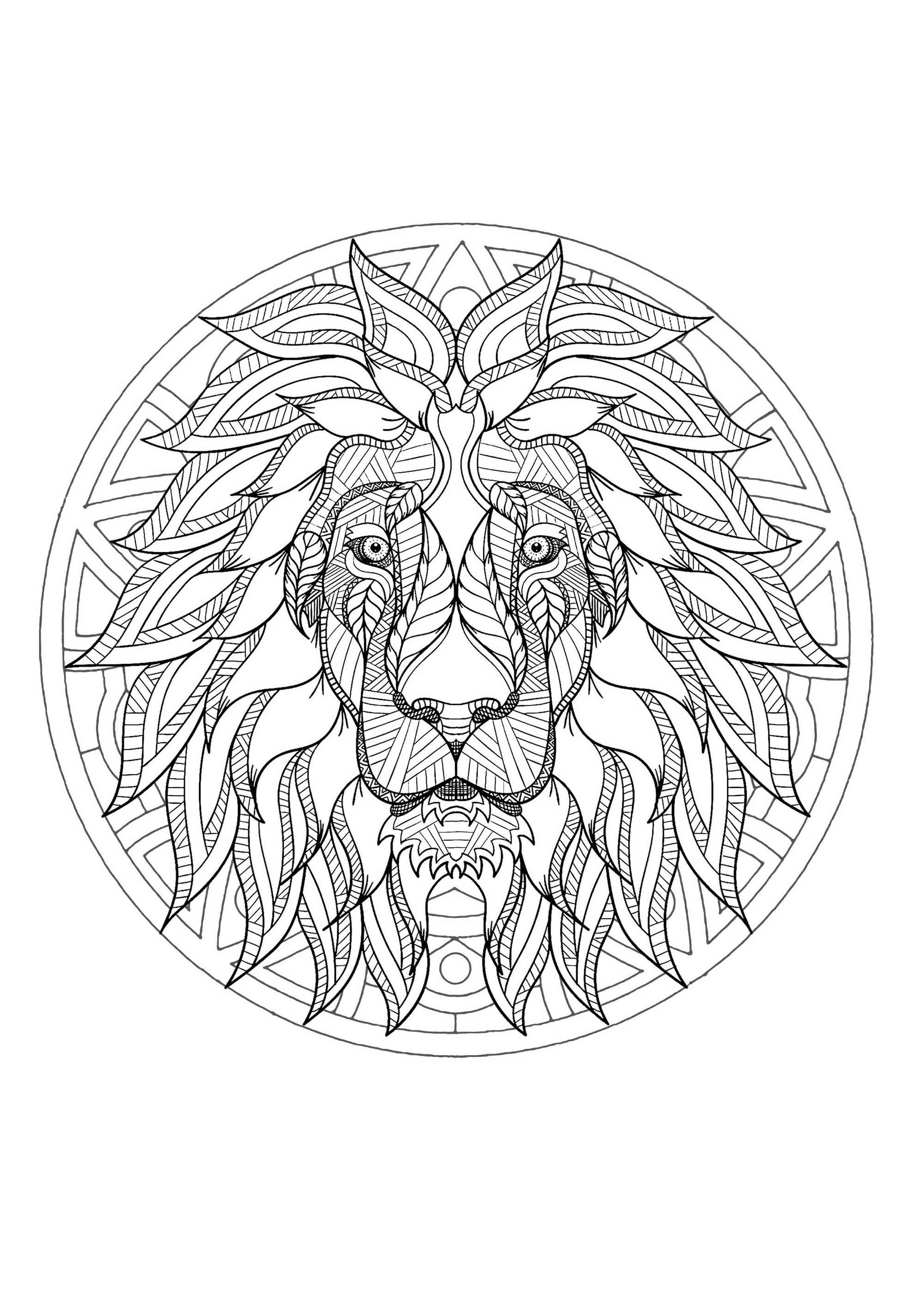 Mandala da colorare con una bella testa di leone e semplici motivi sullo sfondo