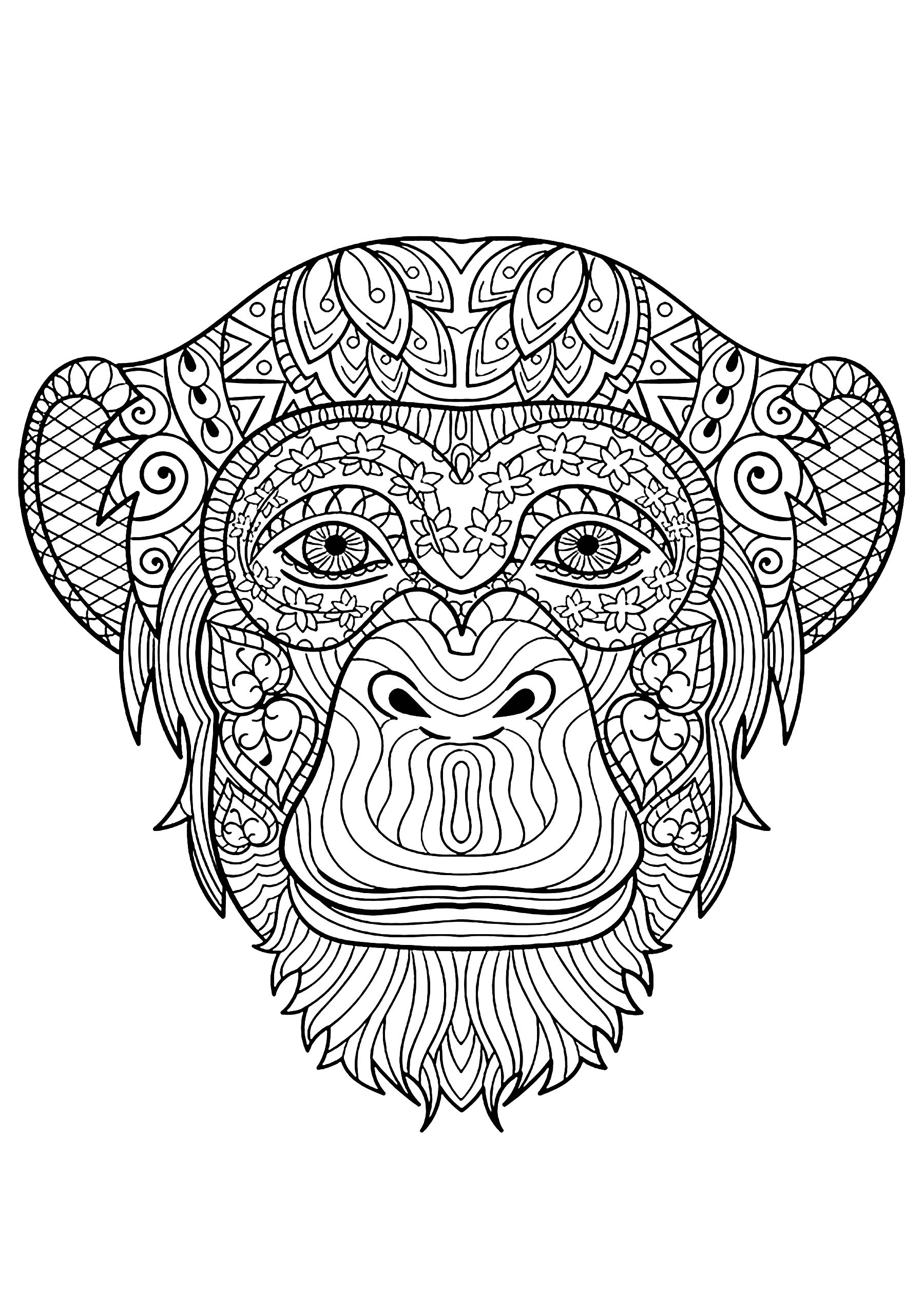 Disegni da Colorare per Adulti : Scimmie - 1