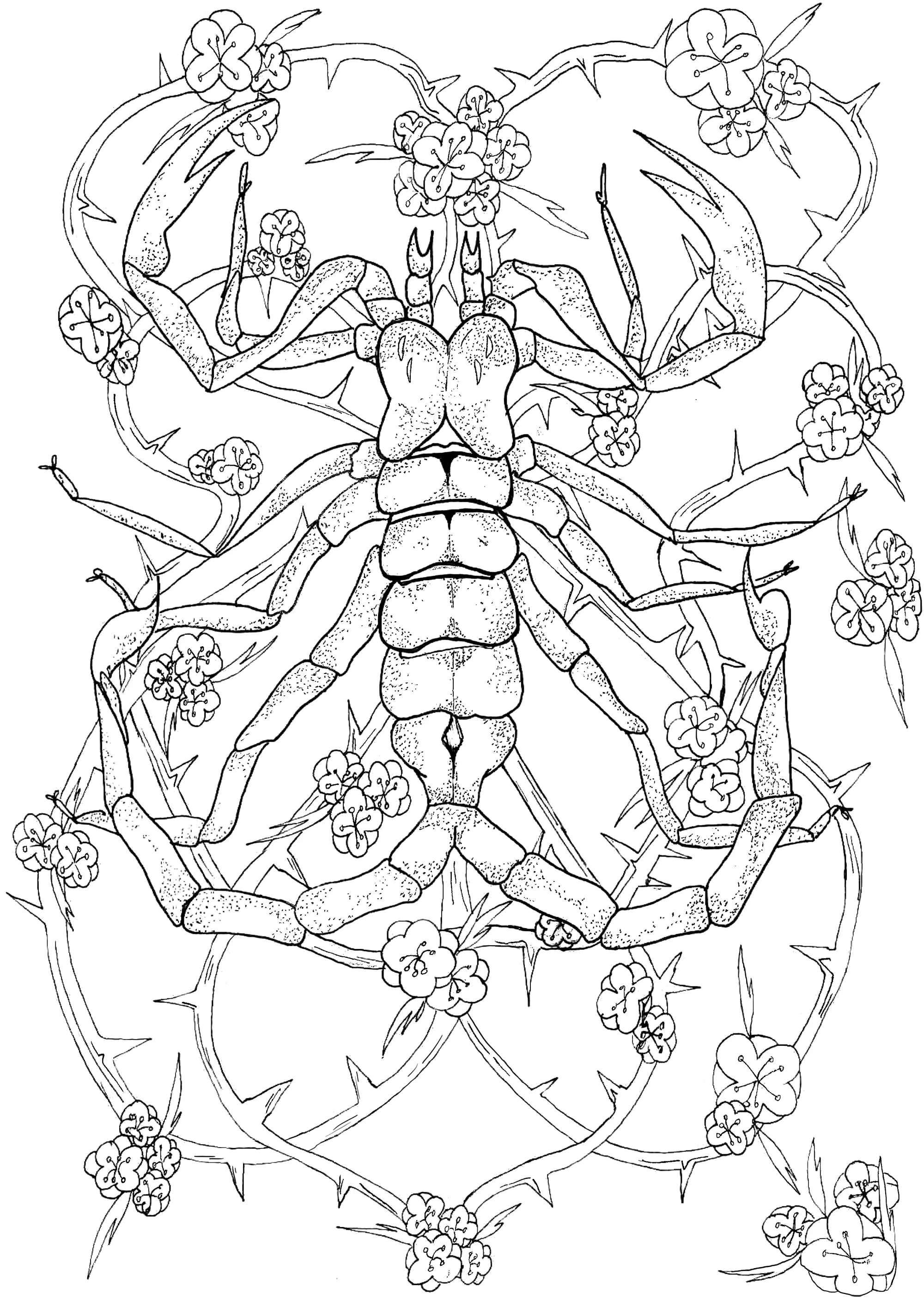 Scorpion (Pagina Altri Animali da Colorare per adultos)